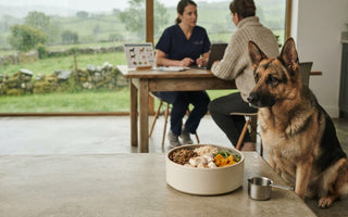 Best Diet for Sensitive German Shepherds: 2026 Guide