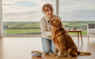 Dog Food for Loose Stools Ireland: 2026 Digestibility Guide