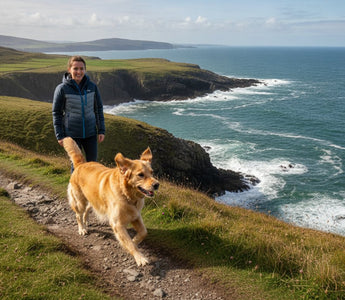 Fish-Based Dog Food for Large Breeds: 2026 Ireland Guide