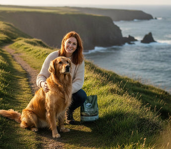 Fish-Based Dog Food: The Ultimate Guide to Functional Canine Nutrition in 2026