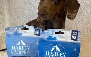 My big dogs favourite was the fish roll, he couldn’t get enough of them!
