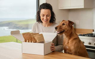 Monthly Dog Food Box Ireland: The 2026 Guide to Premium Fish-Based Subscriptions
