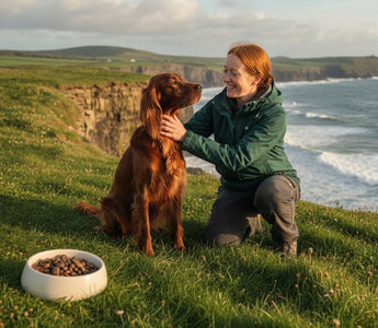 Natural Dry Dog Food: The 2026 Guide to Premium Canine Nutrition