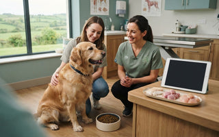 Novel Protein Dog Food: What It Means and How to Choose