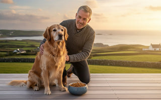 Senior Dog Food Ireland: The 2026 Guide to Fish-Based Nutrition for Ageing Paws