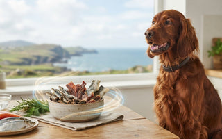 The Science-Backed Benefits of Fish Dog Treats: A 2026 Guide to Canine Vitality
