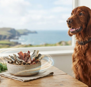 The Science-Backed Benefits of Fish Dog Treats: A 2026 Guide to Canine Vitality