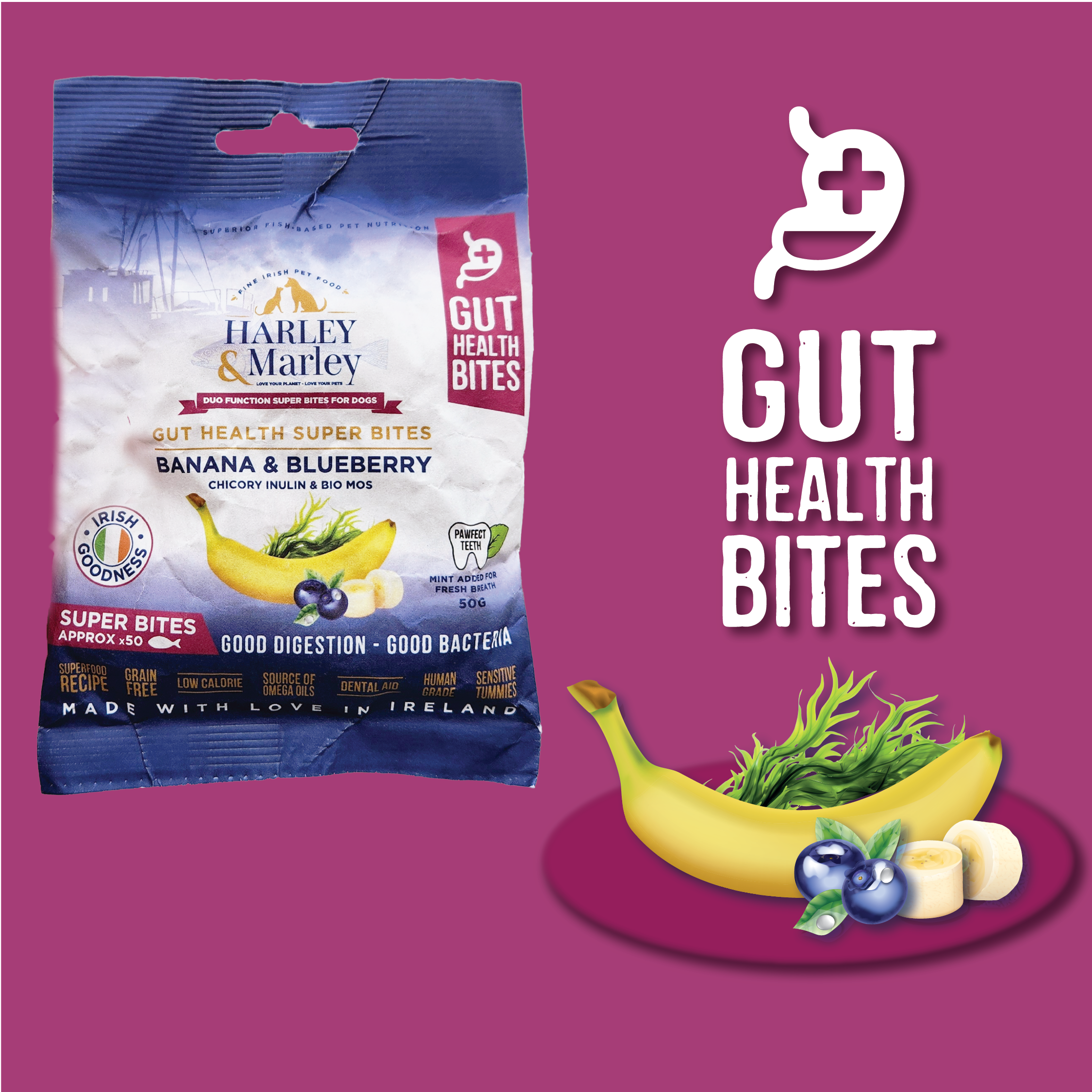 Gut Health Super Bites Functional Health Bites