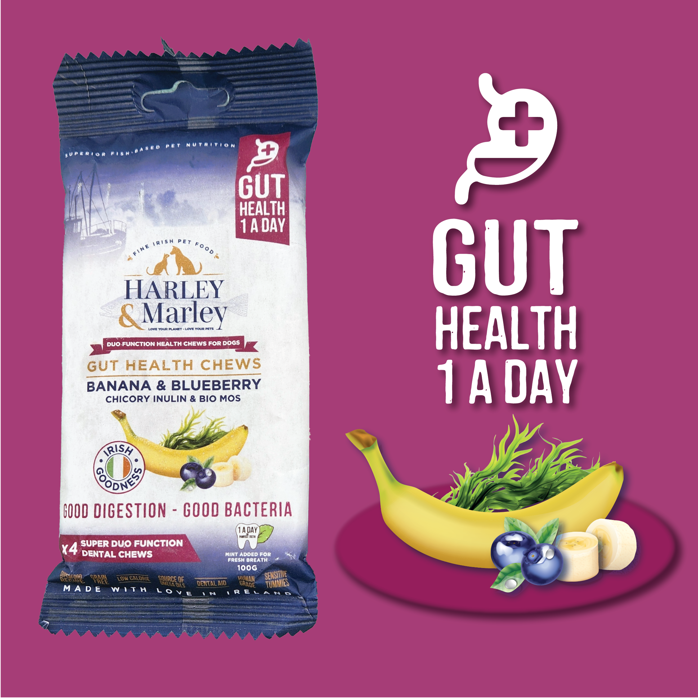 Gut Health Chews Duo Function Health Chews for Dogs