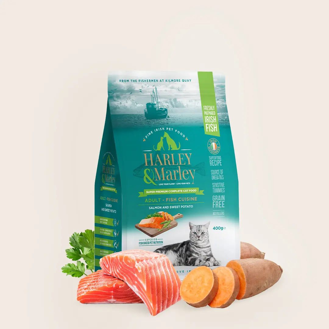 Complete Dry Food for Cats - Salmon