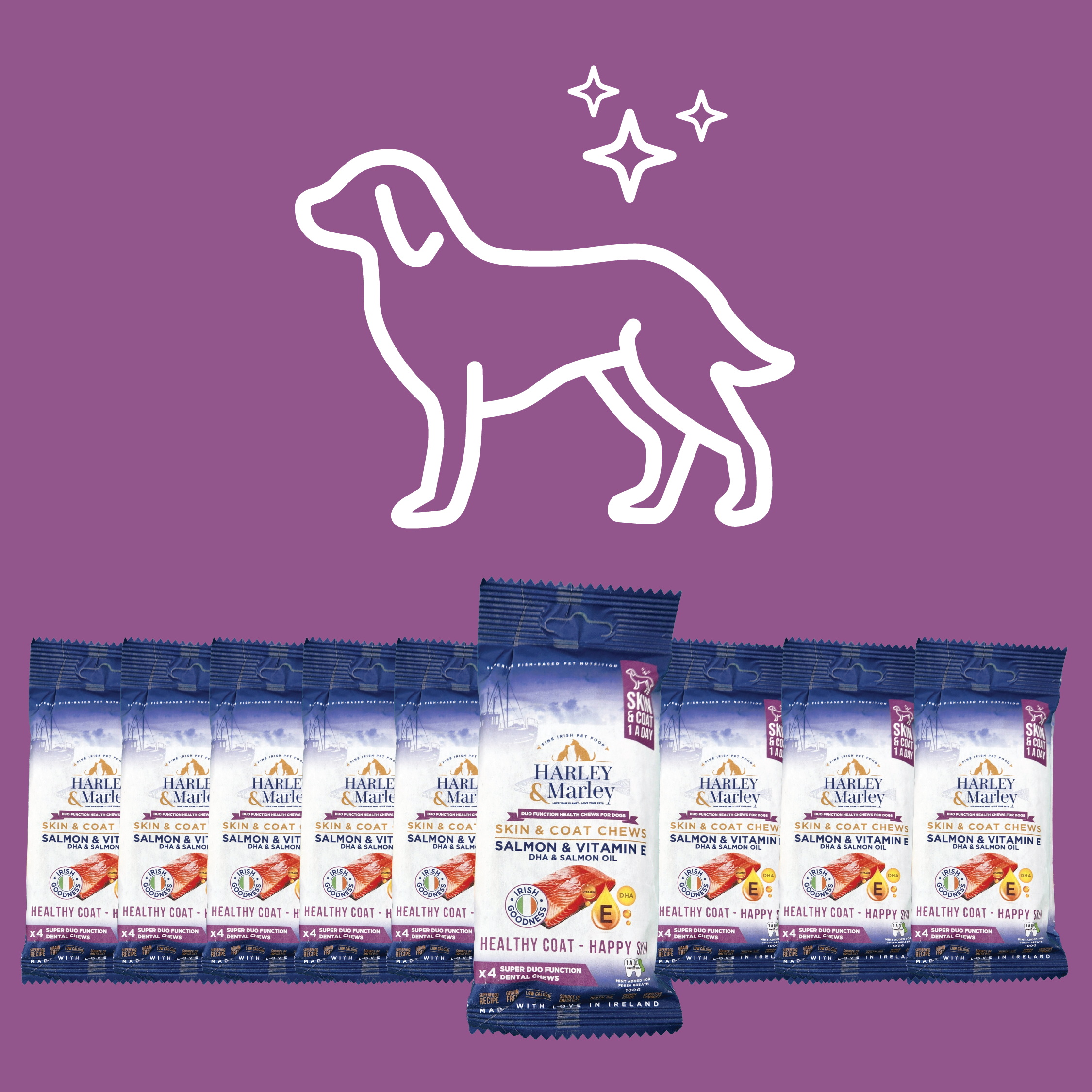 Skin & Coat Health Chews - x10