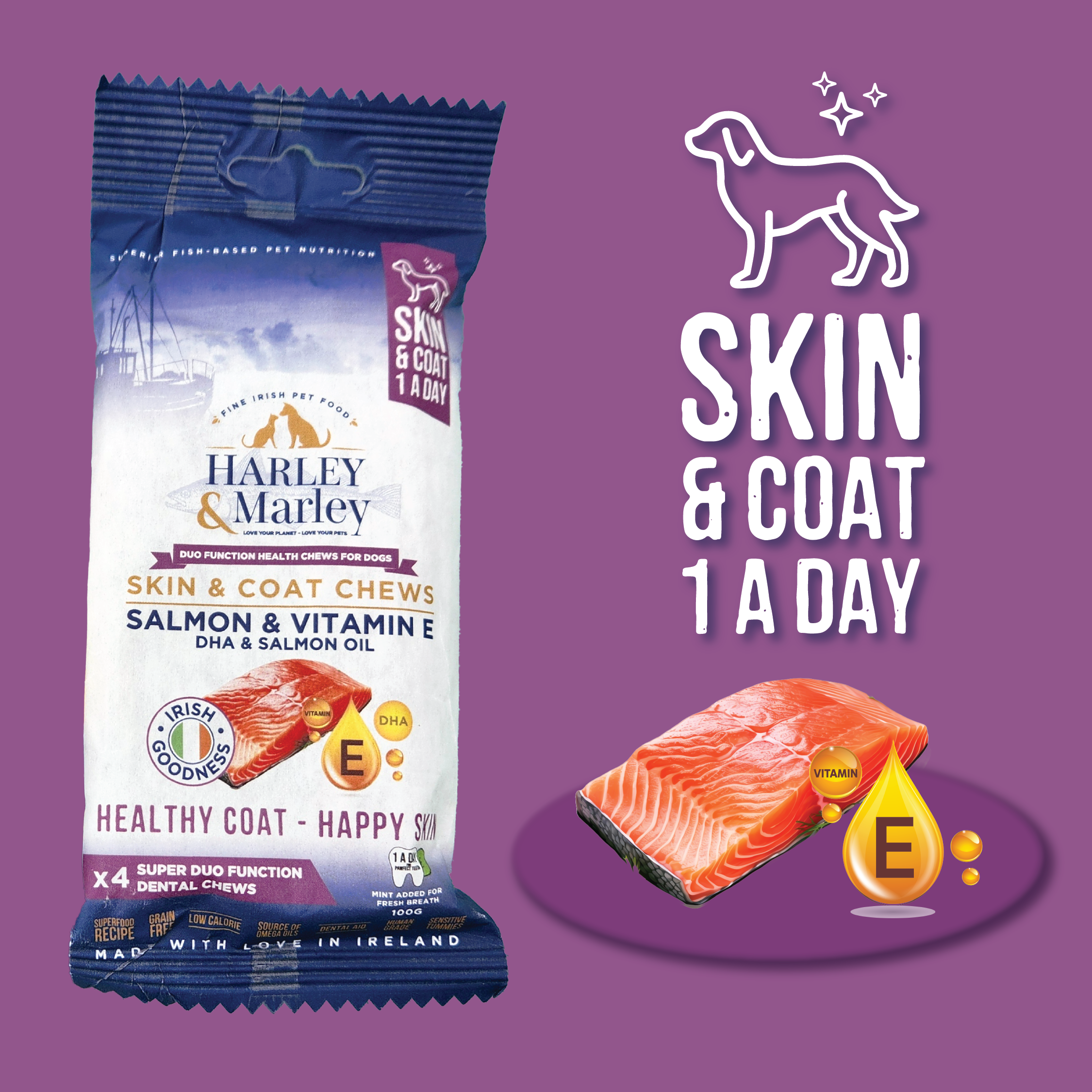 Skin & Coat Health Chews Duo Function Health Chews for Dogs